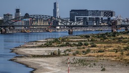 Am Rheinufer in Köln sind niedrige Wasserstände zu erkennen