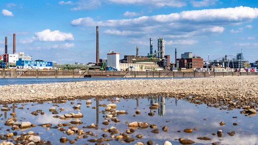 Niedrigwasser des Rhein bei Leverkusen