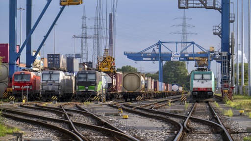 Mehere Züge mit Container stehen unter Kränen im Duisburger Hafen.