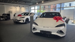 Weisse BYD-Modelle im Showroom eines Dortmunden Händlers - mit roten Geschenkschleifen verziert