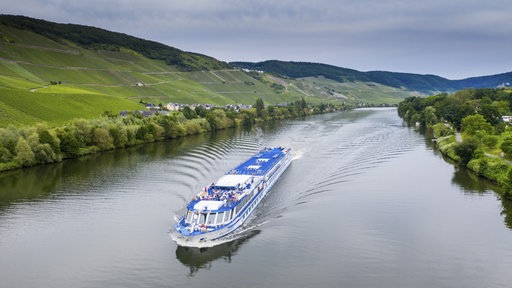 Ein Kreuzfahrtchiff fährt auf der Mosel, an den Ufern sind grüne Büsche und Felder