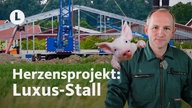 Schweinemäster Bernd Mersmann steht vor der Baustelle für seinen neuen Schweinestall, ein Schwein guckt ihm über die Schulter