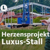 Schweinemäster Bernd Mersmann steht vor der Baustelle für seinen neuen Schweinestall, ein Schwein guckt ihm über die Schulter