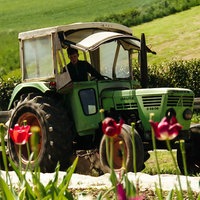 Ein grüner Traktor fährt über ein Feld, im Vordergrund sieht man rote und gelbe Tulpen