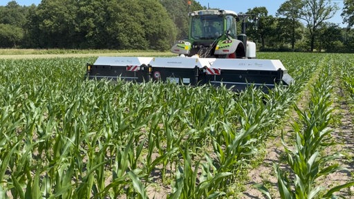 Spotsprayer gegen Erdmandelgras