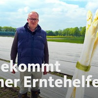 Josef Kemna steht auf einem Spargelfeld.