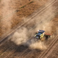 Eine Erntemaschine fährt über ein Feld mit Futtererbsen (Aufnahme mit einer Drohne)