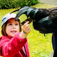 Ein Mädchen streichelt ein Huhn. Sie trägt eine pinke Jacke und eine Kappe.