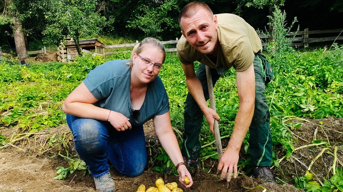Alessa und Lucas Wilhelm hocken im Kartoffelfeld und halten Kartoffeln in der Hand, einige Kartoffeln liegen schon auf dem Boden, Lucas WIlhelm hält eine Harke in der Hand, im Hintergrund weitere Kartoffelpflanzen