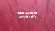 Im Hintergrund ist ein Traktor, davor das Logo von Land.Schafft.