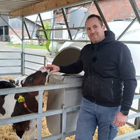 Philipp Terhorst streichelt ein Kalb auf einem Milchhof im Münsterland.
