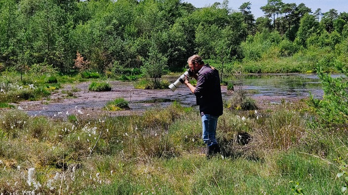 Naturkundler Jan Ole Kriegs im Moor im Lüntener Wald und macht mit einer Kamera mit großem Objektiv ein Foto.