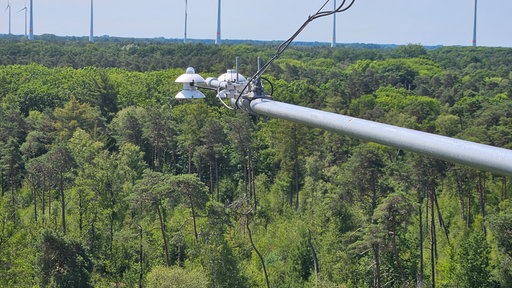 An einem Turm im Lüntener Wald ist in 30 Metern Höhe ein Sensor angebracht.