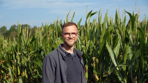 Timo Westerink steht vor einem betroffenen Maisfeld.