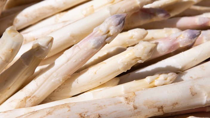 Frisch geernteter weißer Spargel liegt auf einem Haufen