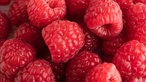 Reife, rote Himbeeren in Nahaufnahme