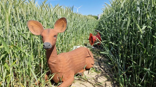 Ein Reh-Dummy zwischen Getreide in einem Feld.