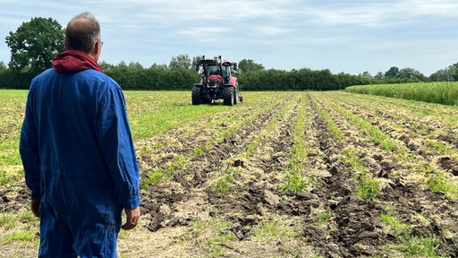 Landwirt Thomas Döring schaut auf ein grünes Feld, im Hintergrund fährt ein roter Traktor