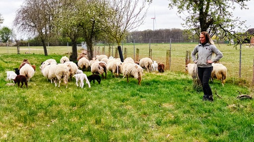 Vicky Diemel steht rechts neben ihrer Schafherde, die gerade auf einem Feld grast.