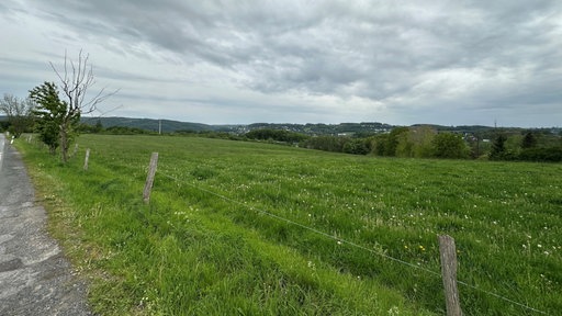 Zu sehen ist die Freifläche am Landringhauser Weg 