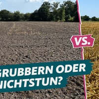 Gelockerter Ackerboden (links) und mit Stroh bedeckter Boden (rechts)