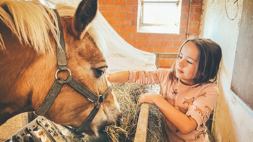 Ein Mädchen streichelt in einem Stall ein Pony.
