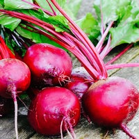 Rote Beete liegt auf einem Tisch