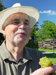 Winzer Dieter Reinhard hält eine Weintraube in der Hand.