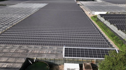 Eine große Solaranlage aus der Luft fotografiert.