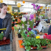 Eine Frau bezahlt an der Kasse eines Gartencenters ihre Blumen.