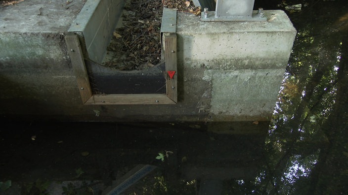 Der Pegelstand vom Wasser.