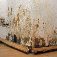 Blick auf eine Wandecke in einer Wohnung, dessen Tapete braune, gelbe und schwarze Flecken aufweist, die Tapete löst sich von der Wand, die Bodenleisten sind poröse