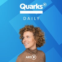 Das Coverbild des Quarks Daily Podcasts mit Host Ina Plodroch.
