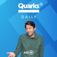 Das Coverbild des Quarks Daily Podcasts mit Host Sebastian Sonntag.
