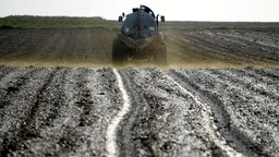 Jauche wird auf Feld verspritzt